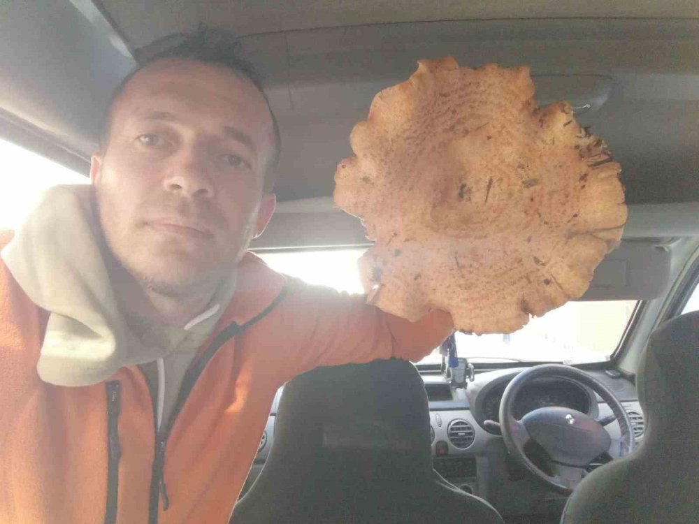 Dev Mantar Görenleri Şaşırttı