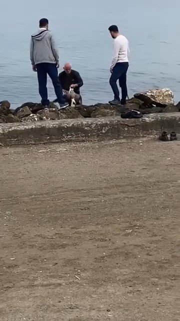 Oltaya Takılan Martıyı Vatandaş Kurtardı