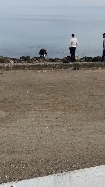 Oltaya Takılan Martıyı Vatandaş Kurtardı