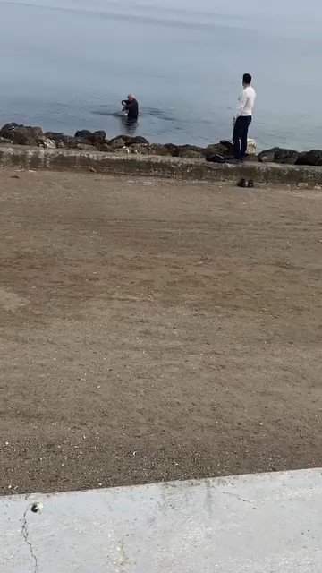 Oltaya Takılan Martıyı Vatandaş Kurtardı