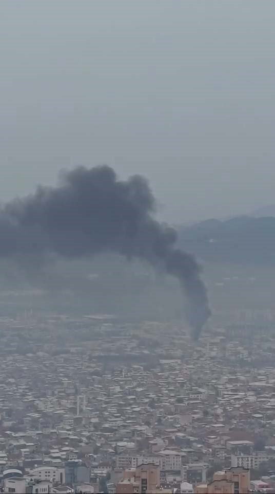 Park Halindeki Otobüsler Yandı