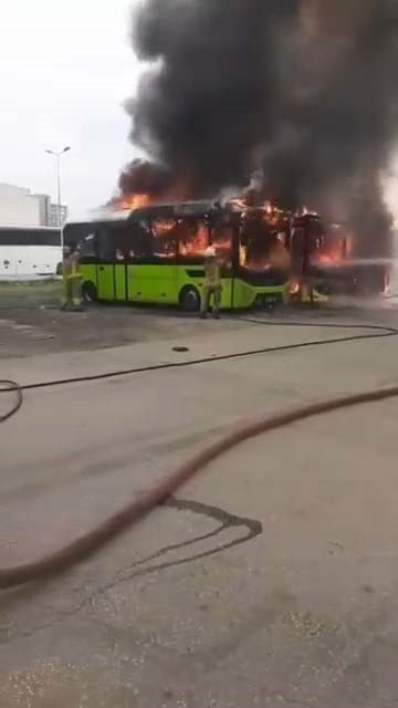 Park Halindeki Otobüsler Yandı