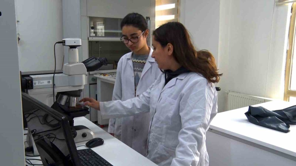 Türkiye’de Bir İlk: Lise Öğrencileri Bir Ay Boyunca Üniversiteli Oldu