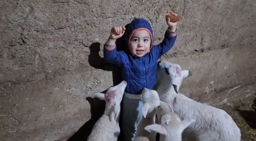 Kuzuların Arasında Kalan Minik Yusuf’un Tatlı Halleri Gülümsetti