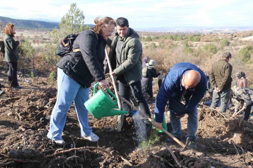 Fidan Dikimi Etkinliği Gerçekleştirildi
