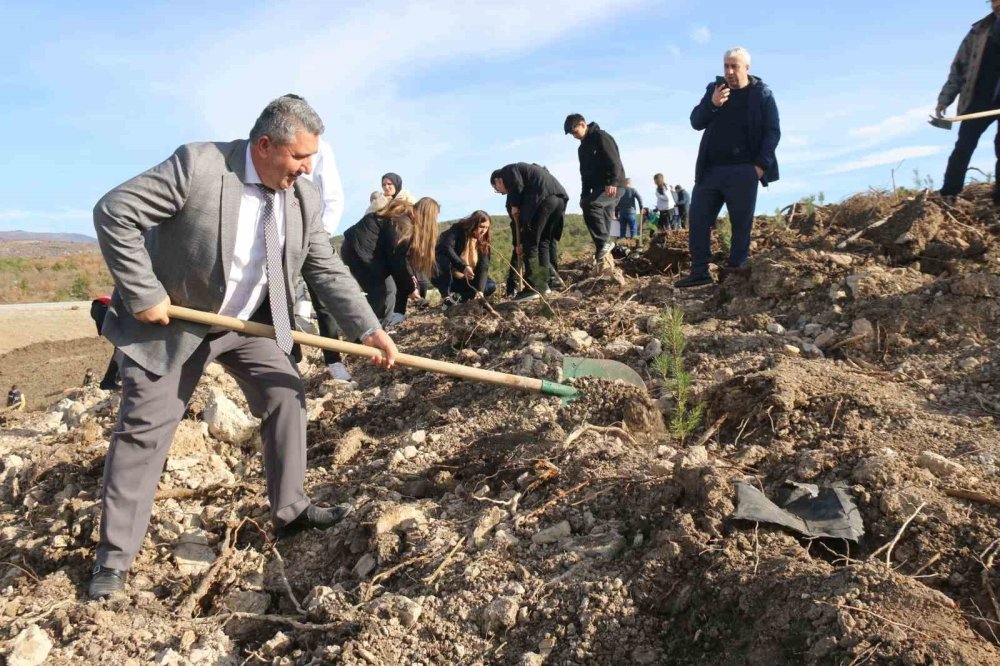 Fidan Dikimi Etkinliği Gerçekleştirildi