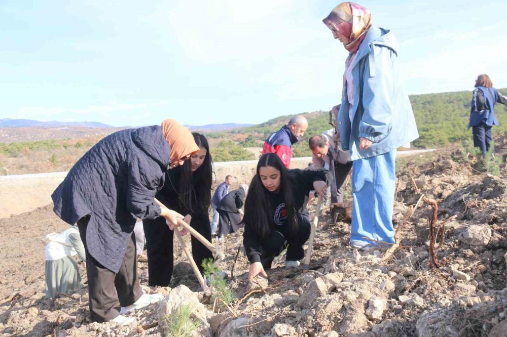 Fidan Dikimi Etkinliği Gerçekleştirildi