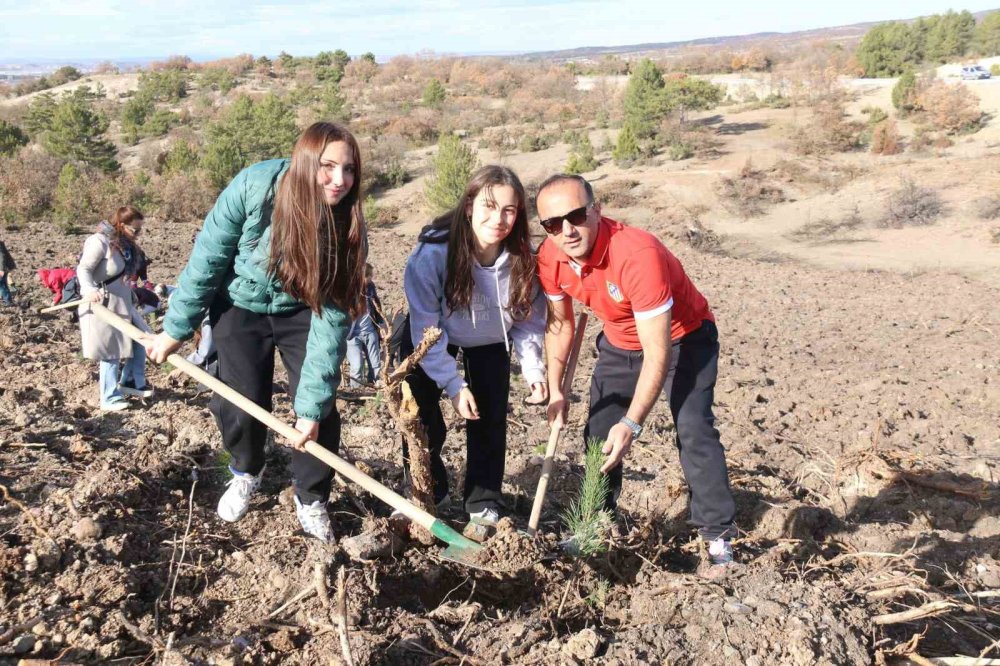 Fidan Dikimi Etkinliği Gerçekleştirildi