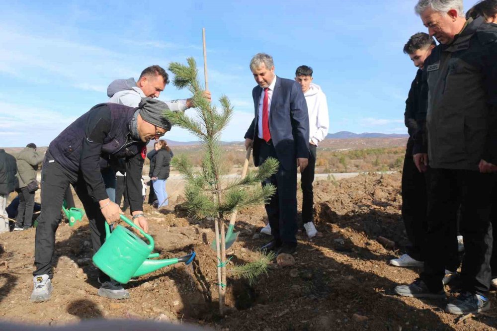 Fidan Dikimi Etkinliği Gerçekleştirildi