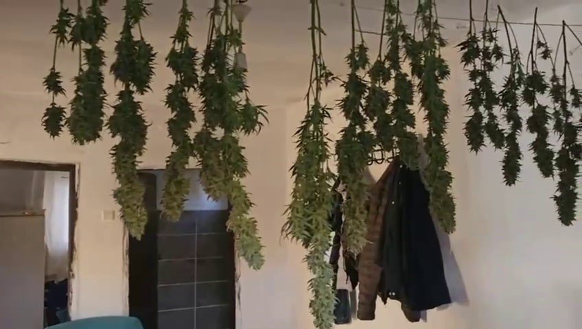 Evini Uyuşturucu İmalathanesine Çevirmiş