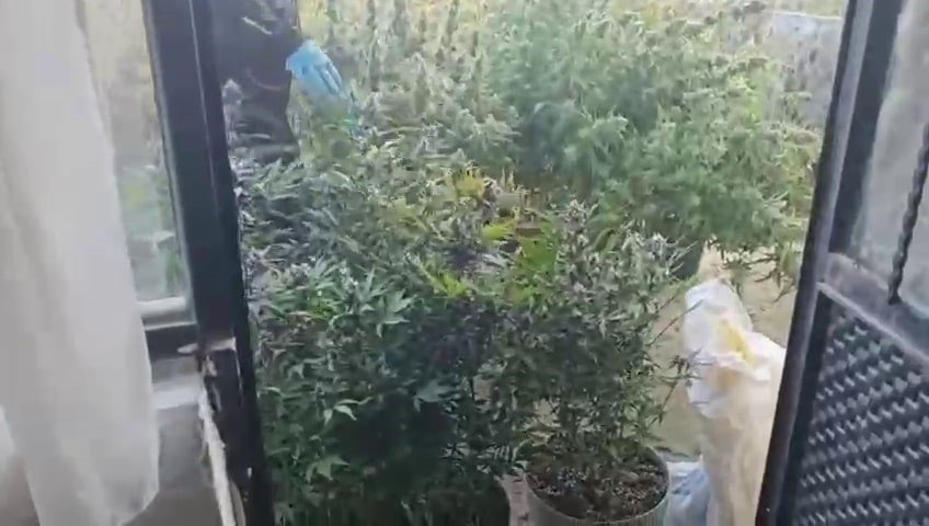 Evini Uyuşturucu İmalathanesine Çevirmiş