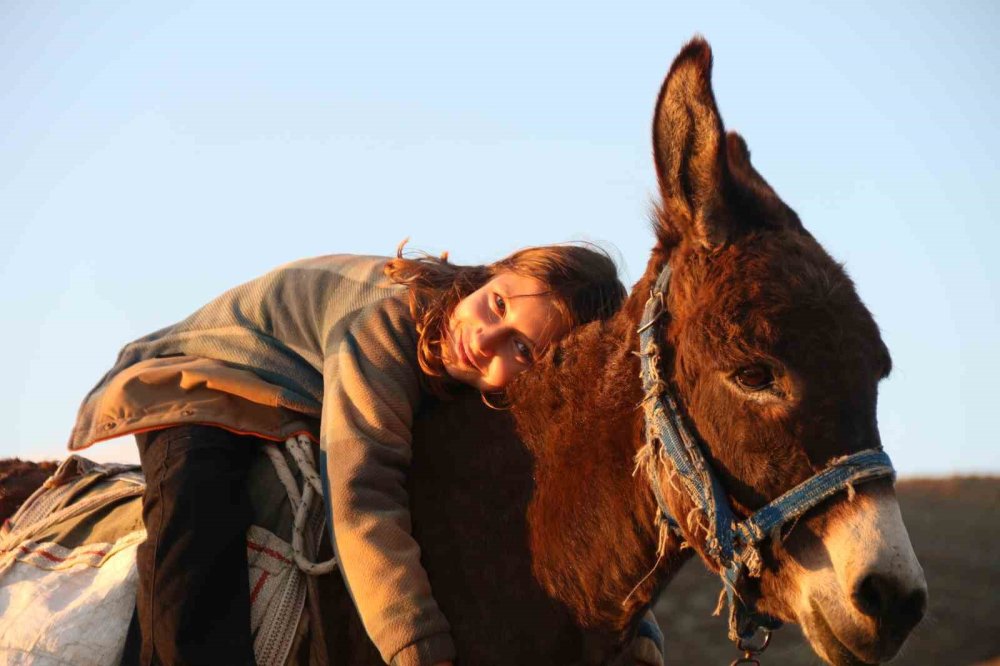 Küçük Kız Baba Mesleği Çobanlığı Devam Ettiriyor