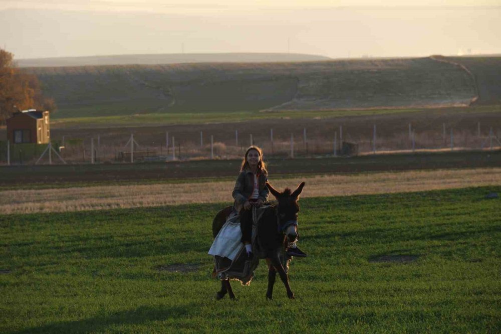 Küçük Kız Baba Mesleği Çobanlığı Devam Ettiriyor