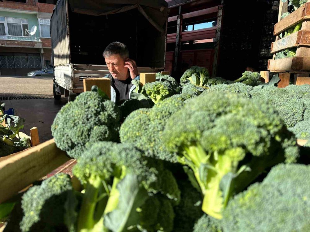 Tarlada 10 Liraya İnen Brokoli Pazarda 70 Liraya Satılıyor