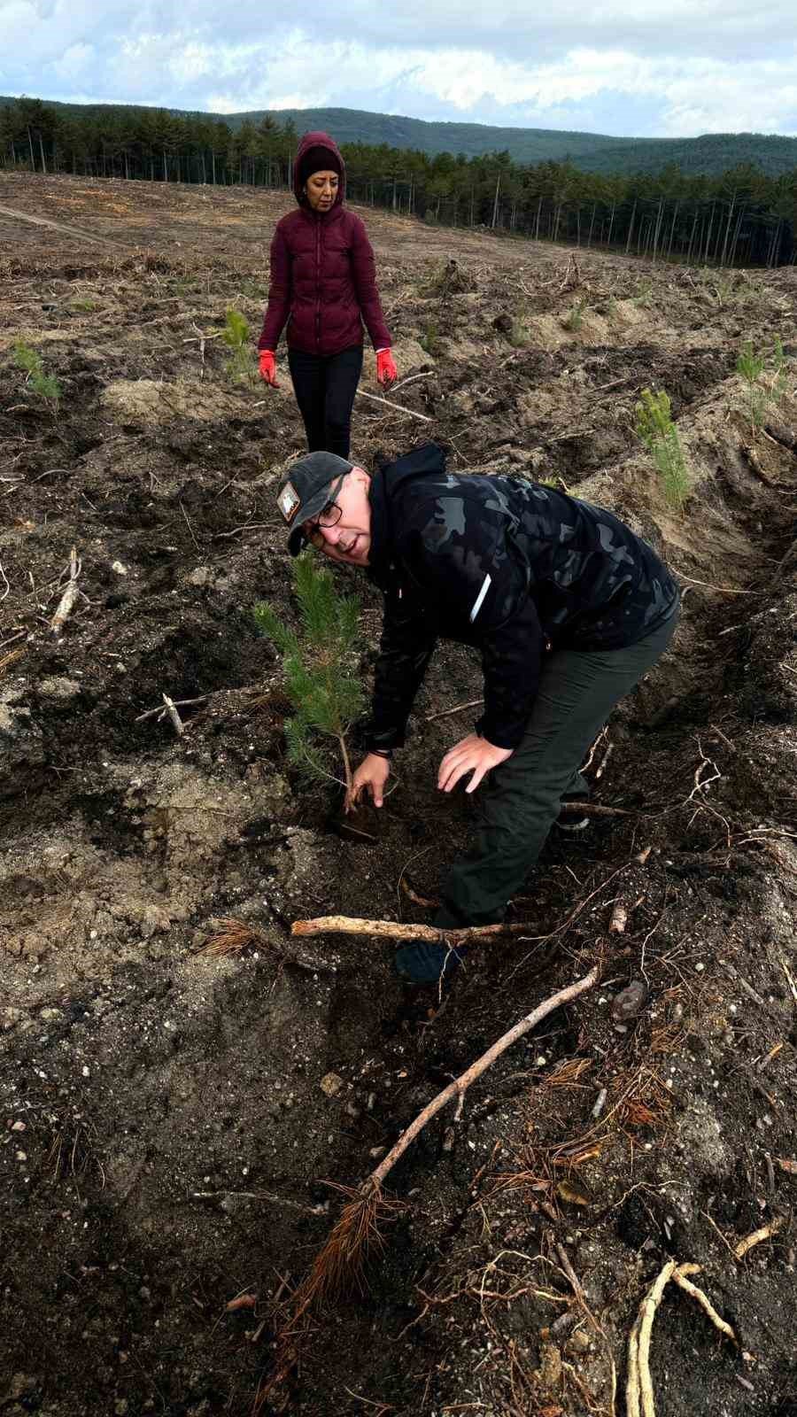 Yanan Ormanlık Alanlarda 450 Fidan Dikildi