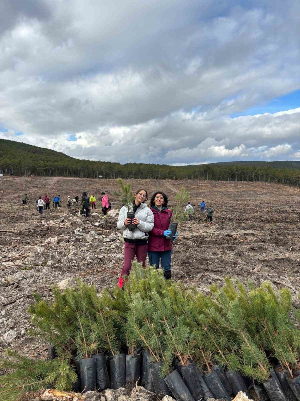 Yanan Ormanlık Alanlarda 450 Fidan Dikildi