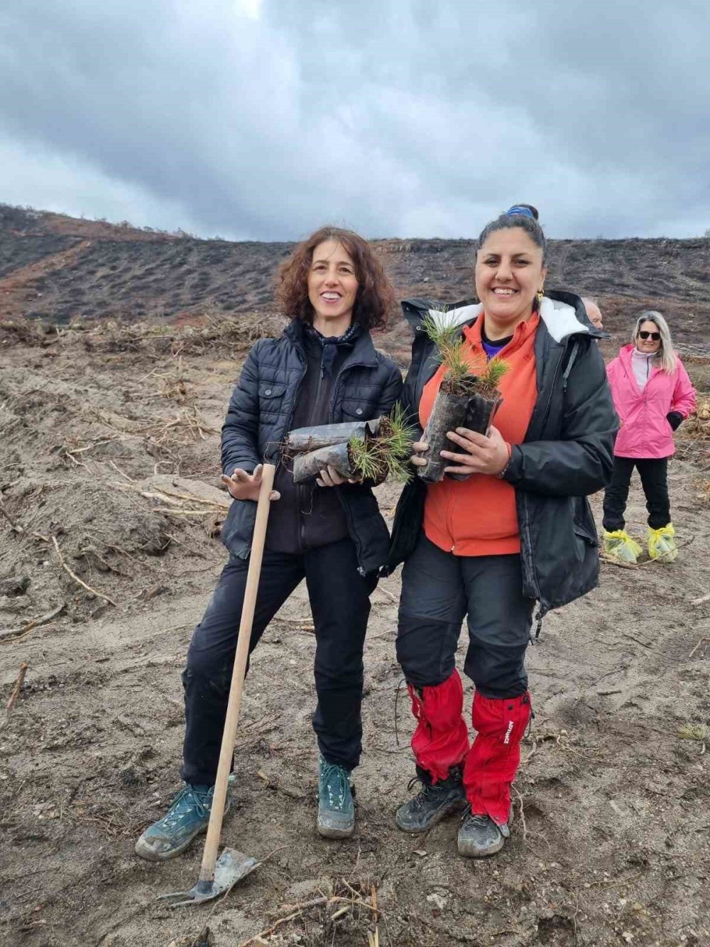 Yanan Ormanlık Alanlarda 450 Fidan Dikildi