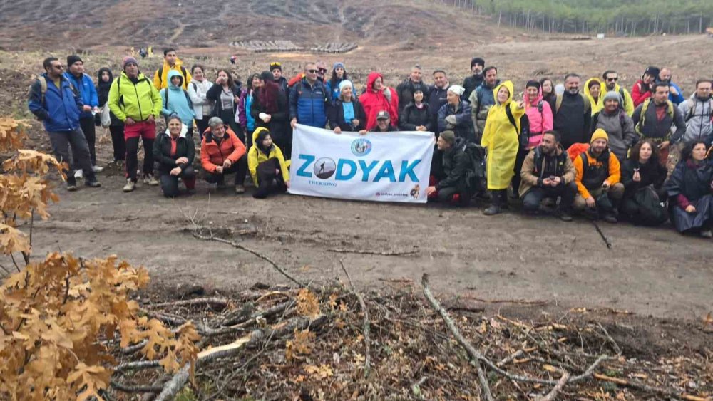 Yanan Ormanlık Alanlarda 450 Fidan Dikildi