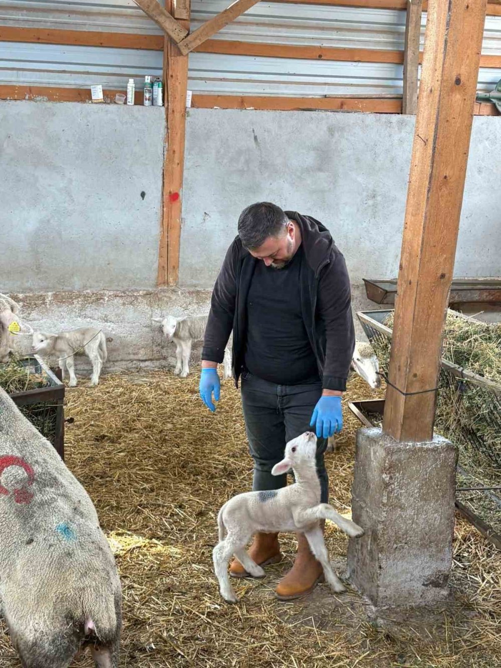 Şap Mağduru Üreticiler Destek Bekliyor