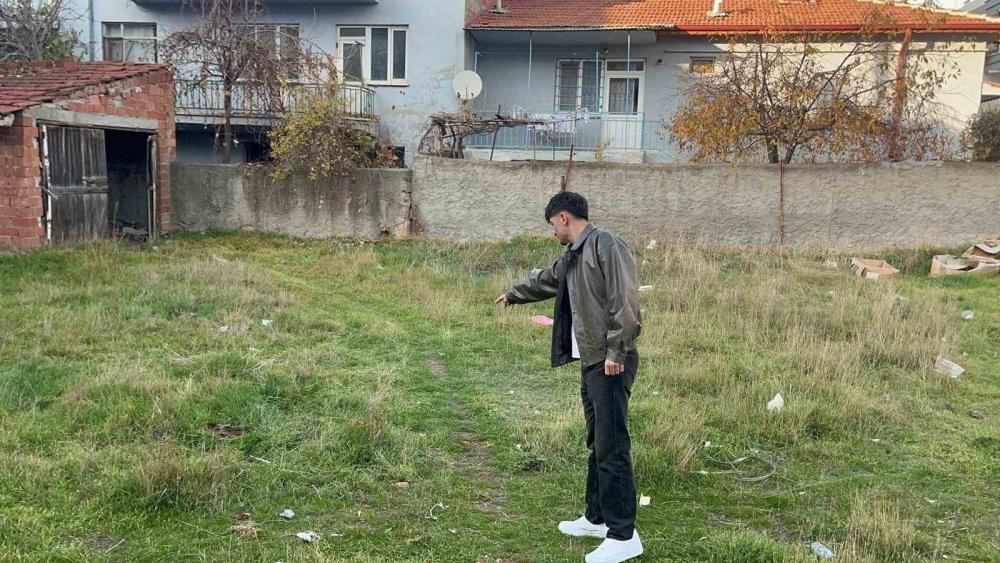 Boş Arsada 8 Ölü Kedi Bulundu