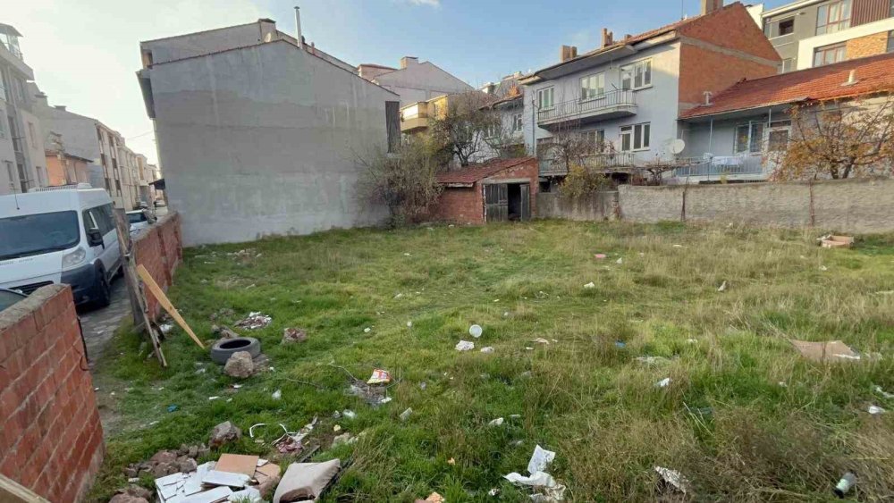 Boş Arsada 8 Ölü Kedi Bulundu