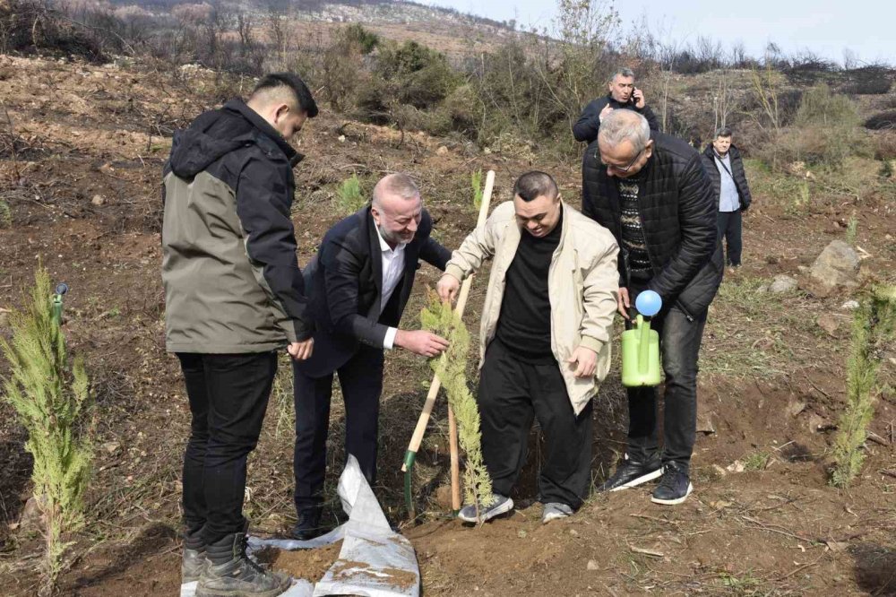 Yangın Sonrası İlk Fidanlar Toprakla Buluştu