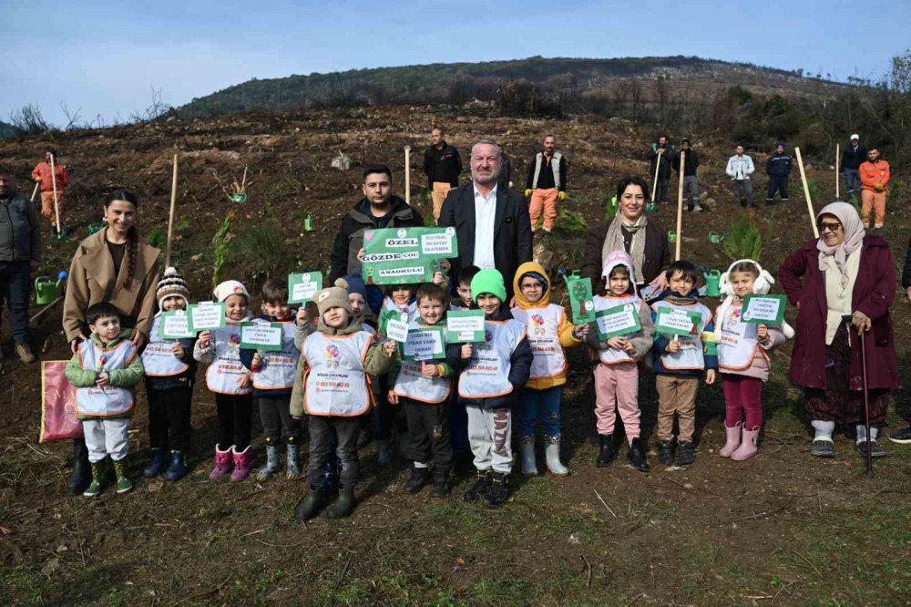 Yangın Sonrası İlk Fidanlar Toprakla Buluştu