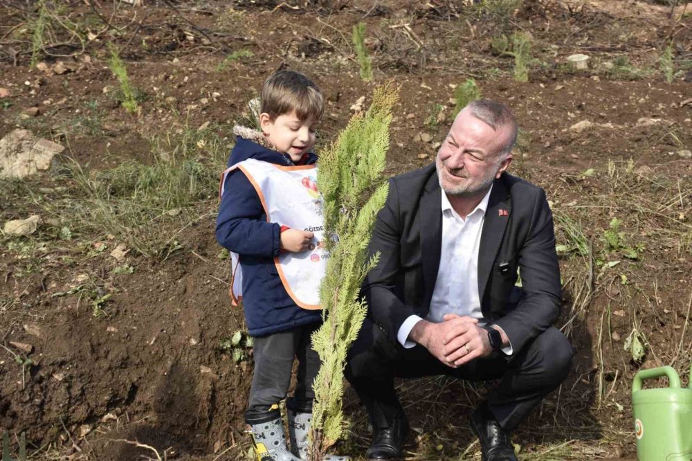 Yangın Sonrası İlk Fidanlar Toprakla Buluştu