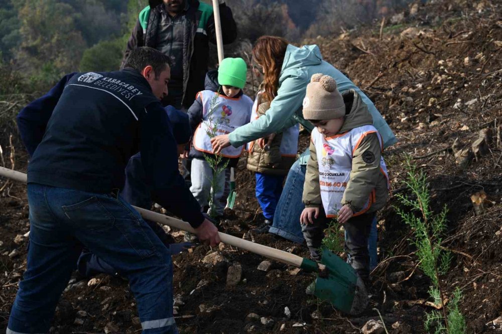 Yangın Sonrası İlk Fidanlar Toprakla Buluştu