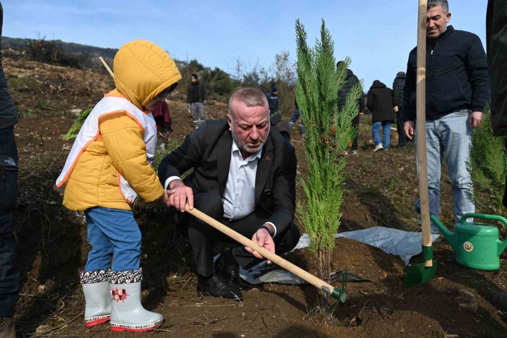 Yangın Sonrası İlk Fidanlar Toprakla Buluştu