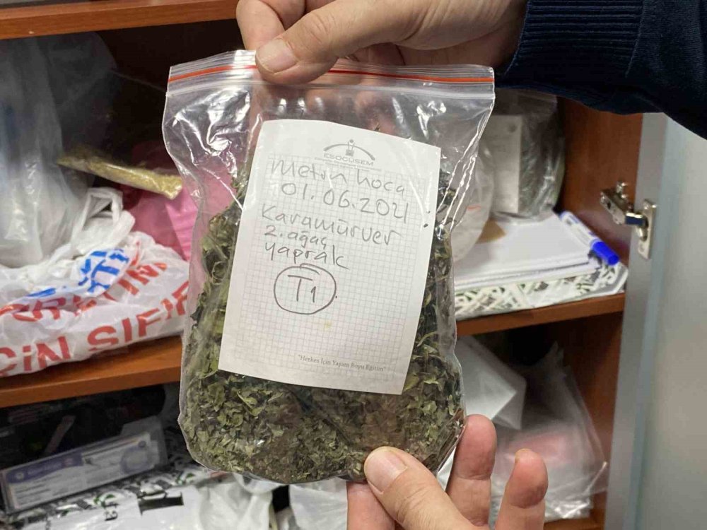 Türkiye’nin En Zengin Tıbbi Aromatik Merkezi Olarak Öne Çıkıyor