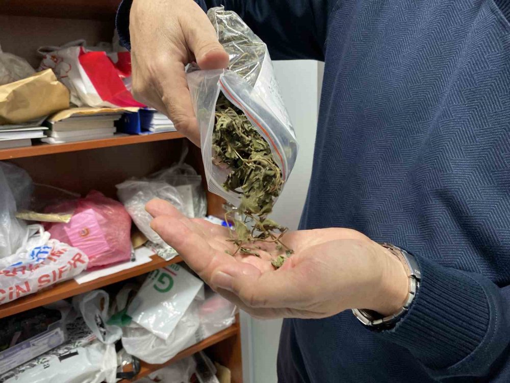 Türkiye’nin En Zengin Tıbbi Aromatik Merkezi Olarak Öne Çıkıyor