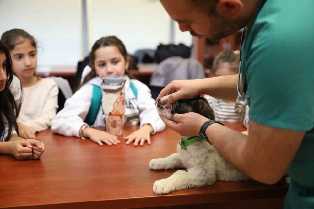 Miniklere Hayvan Sevgisi Aşılanıyor