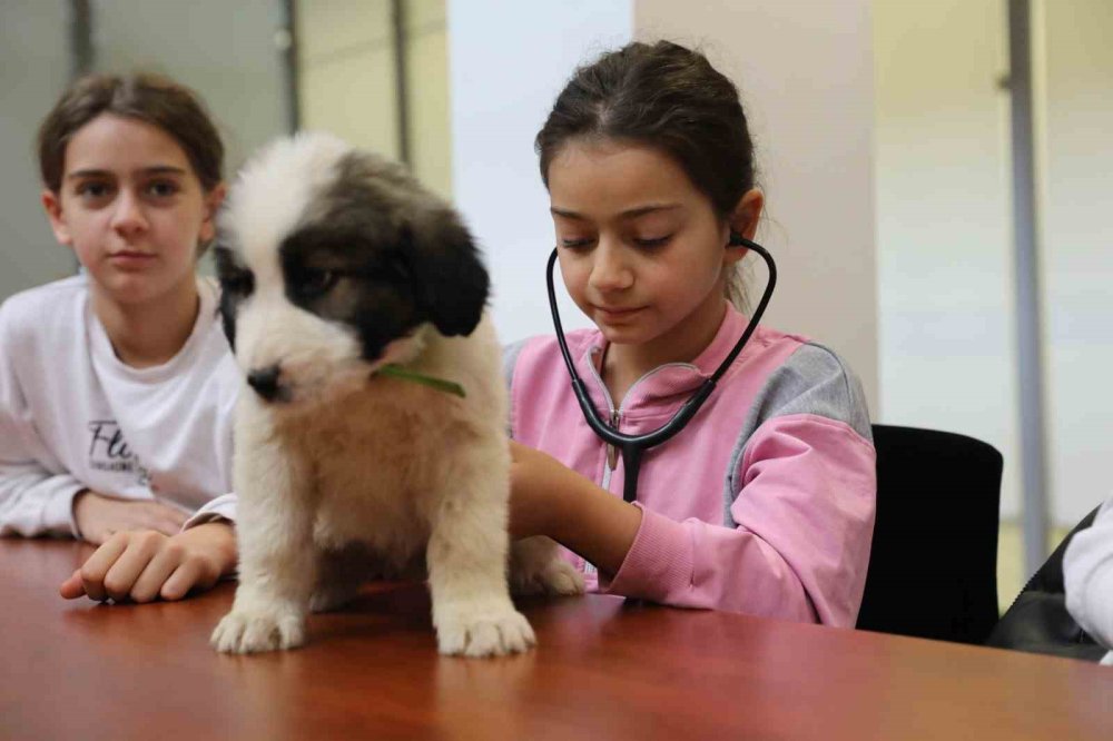 Miniklere Hayvan Sevgisi Aşılanıyor