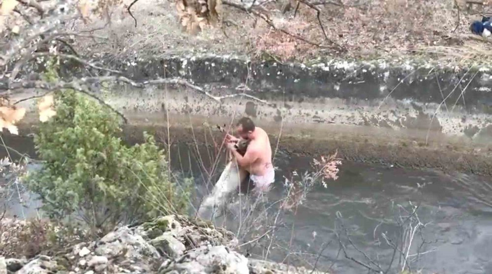 Su Kanalına Düşen Karaca Kurtarıldı