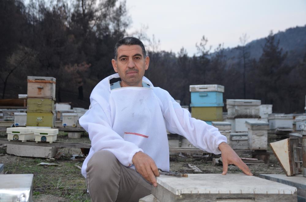 bir-ari-kovaniyla-hobi-olarak-basladi-simdi-turkiyenin-her-yerine-koloni-gonderiyor.jpg