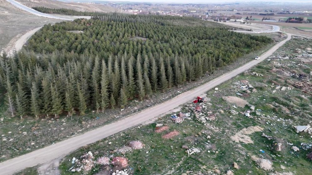 Tezat Görüntü: Bir Yanda Yeşil Ağaçlar, Bir Yanda Çöp Yığınları