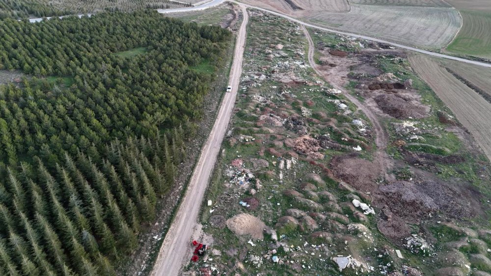 Tezat Görüntü: Bir Yanda Yeşil Ağaçlar, Bir Yanda Çöp Yığınları