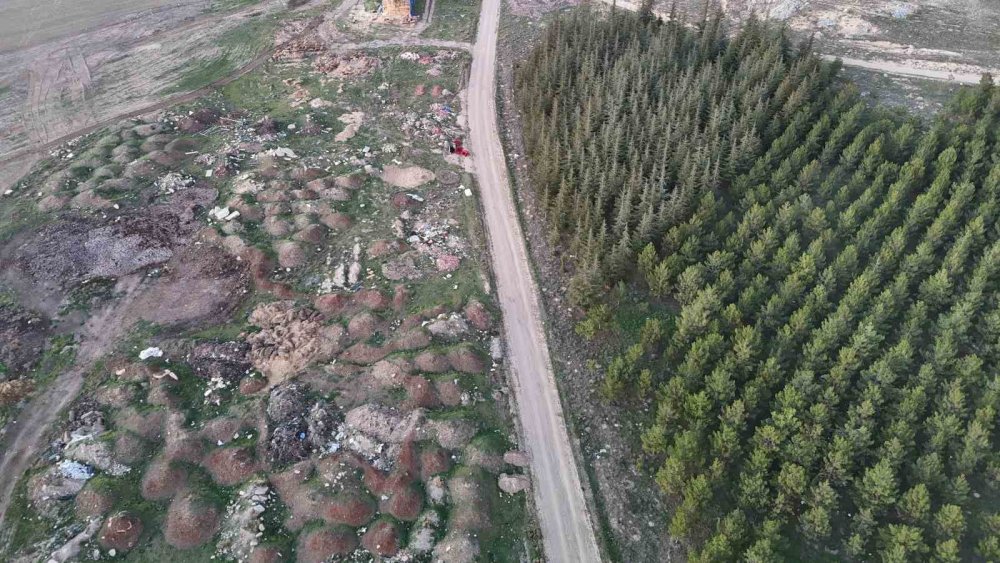 Tezat Görüntü: Bir Yanda Yeşil Ağaçlar, Bir Yanda Çöp Yığınları