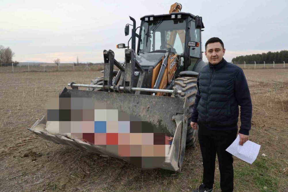 215 Kilogram Kaçak At Eti Ele Geçirildi