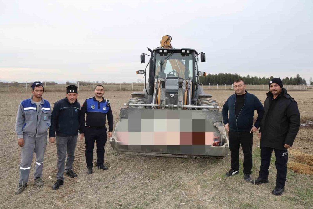 215 Kilogram Kaçak At Eti Ele Geçirildi