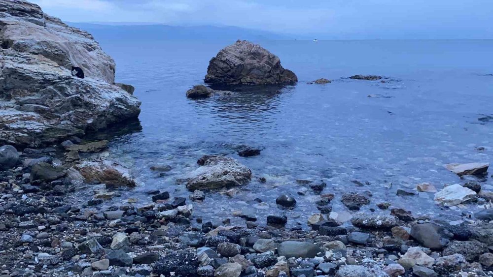 3 Gündür Kayıp 19 Yaşındaki Berat’ın Cansız Bedeni Bulundu