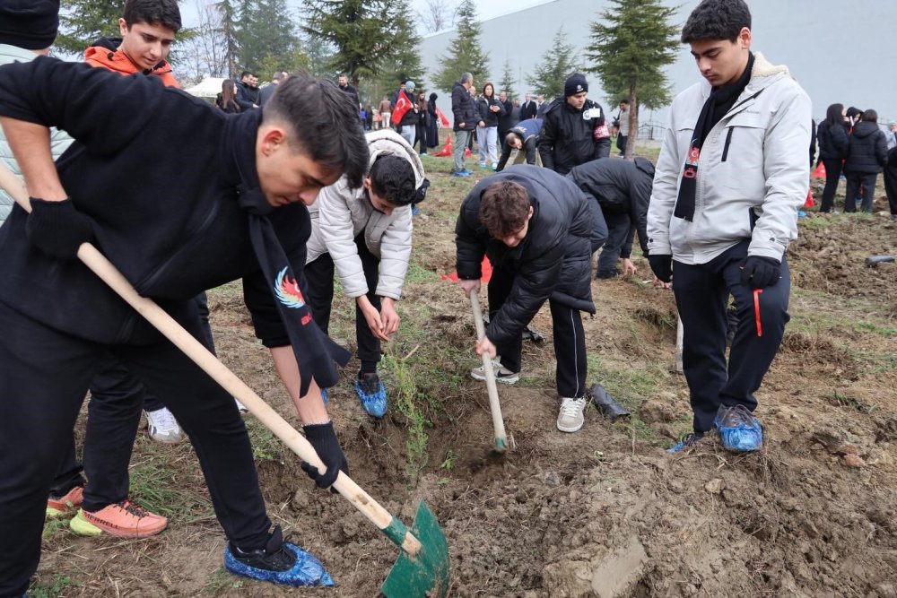 Bilecik’te Şehitler Adına Fidan Dikimi Gerçekleştirildi