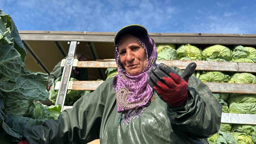 Hasadın Yükünü Kadınlar Taşıyor: Yağmur, Çamur Demeden Bin Bir Zorluklarla Çalışıyorlar