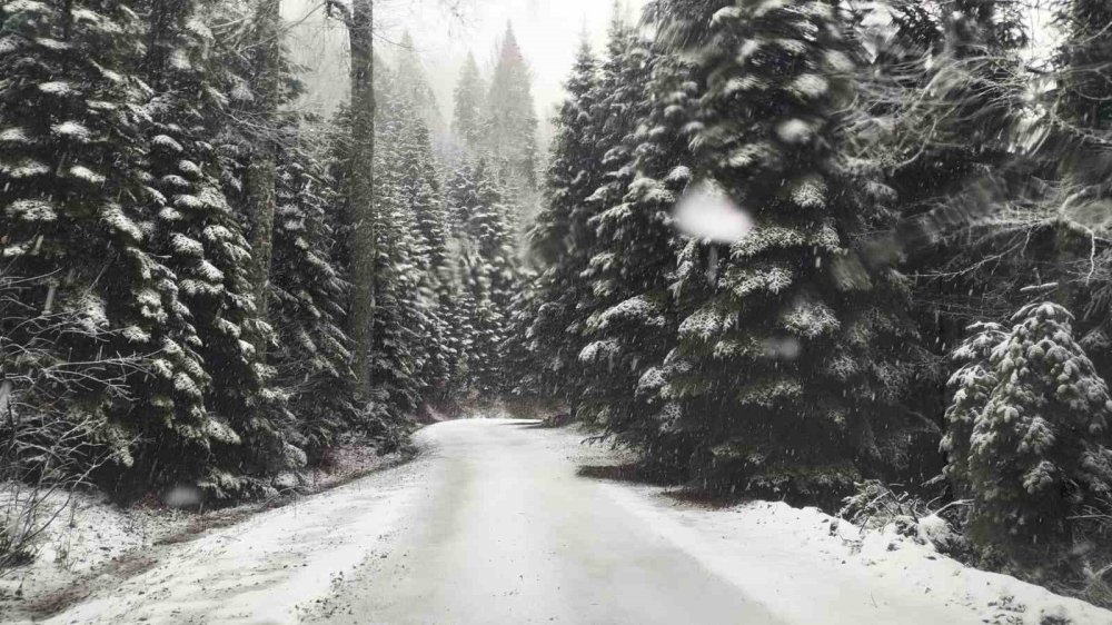 Çiğdem Yaylasına Kar Yağdı