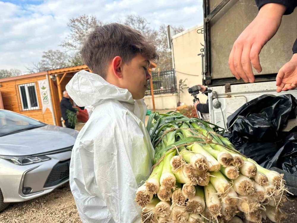 Ata Tohumundan İlaç Kullanılmadan Üretiliyor, Kent Lokantası’ndaki Yemeklerde Kullanılıyor