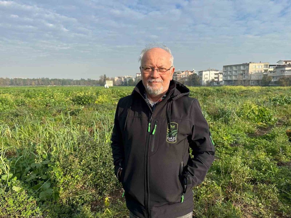 Ata Tohumundan İlaç Kullanılmadan Üretiliyor, Kent Lokantası’ndaki Yemeklerde Kullanılıyor