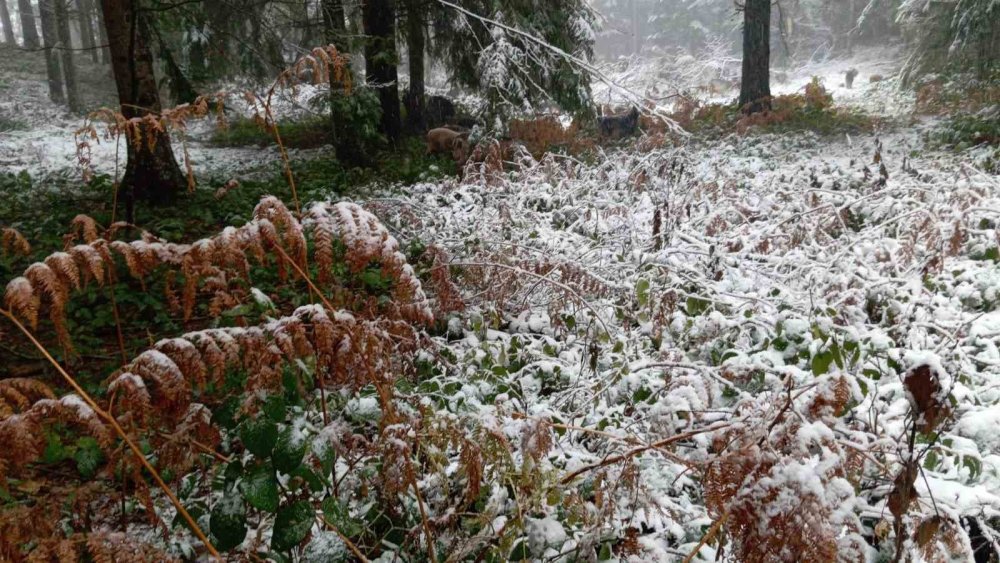 Yüksek Kesimler Beyaz Örtüyle Kaplandı