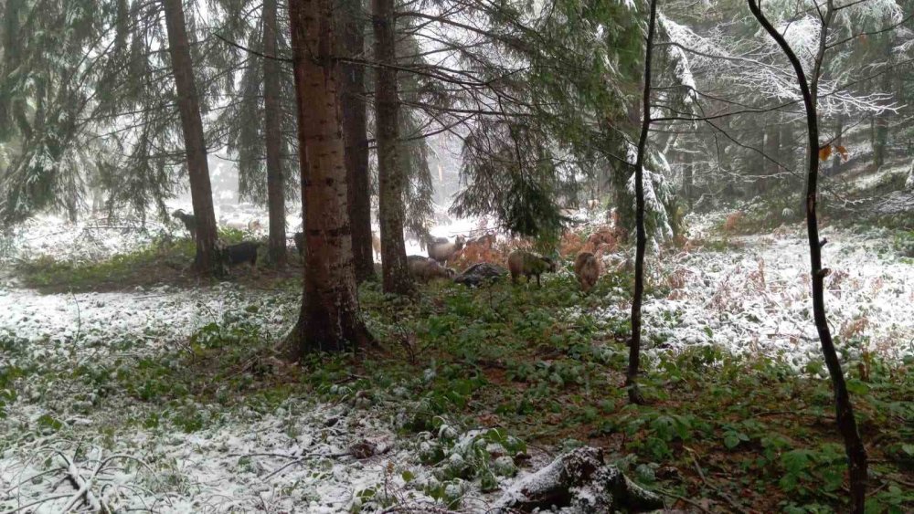 Yüksek Kesimler Beyaz Örtüyle Kaplandı
