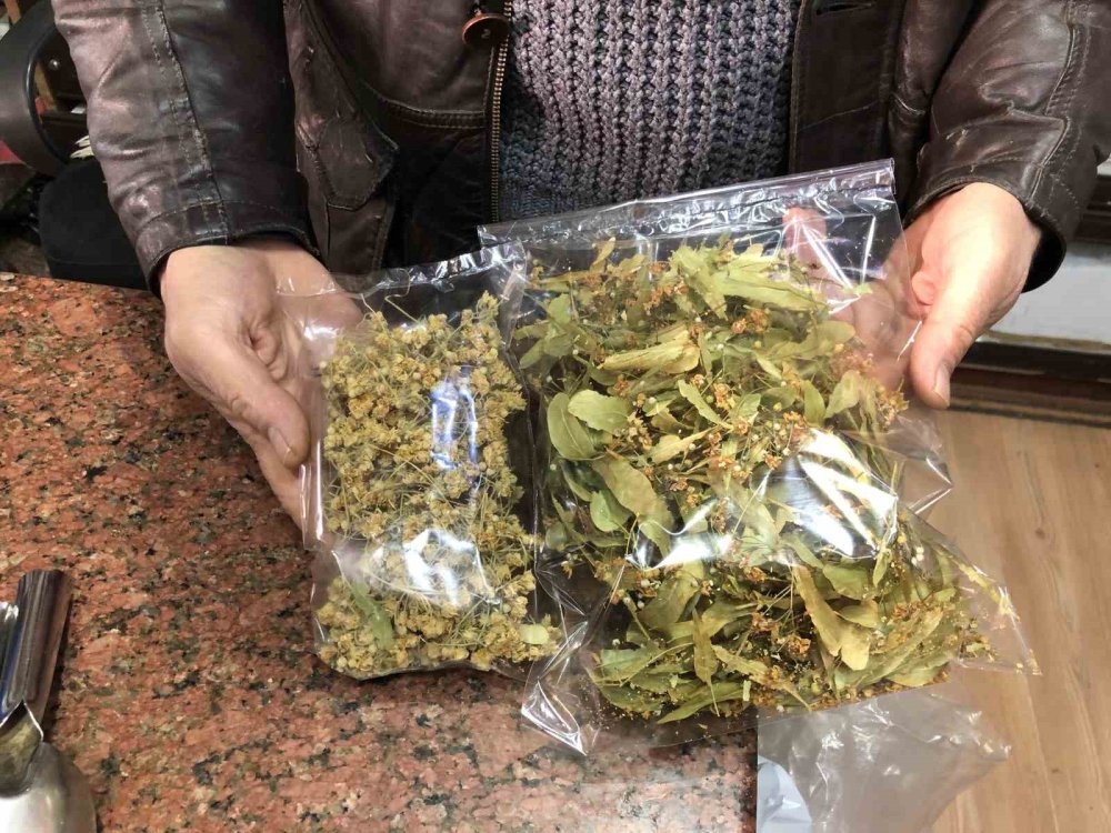 Bu Yıl Ihlamur Değer Kazandı